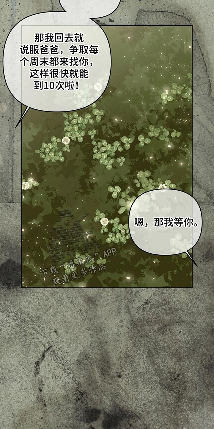 第49章：诺言