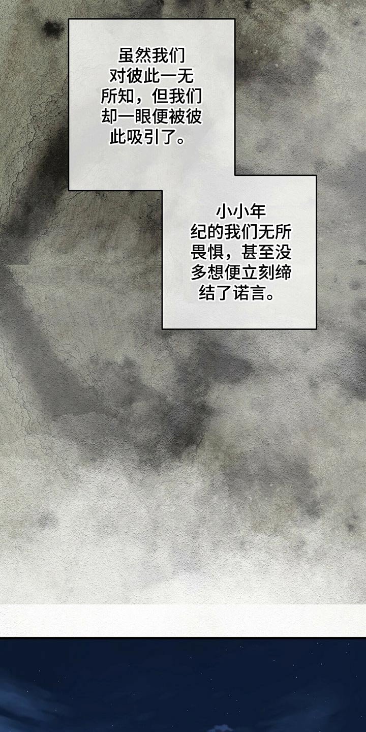 第49章：诺言