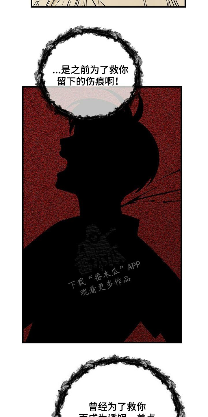 第55章：苏醒