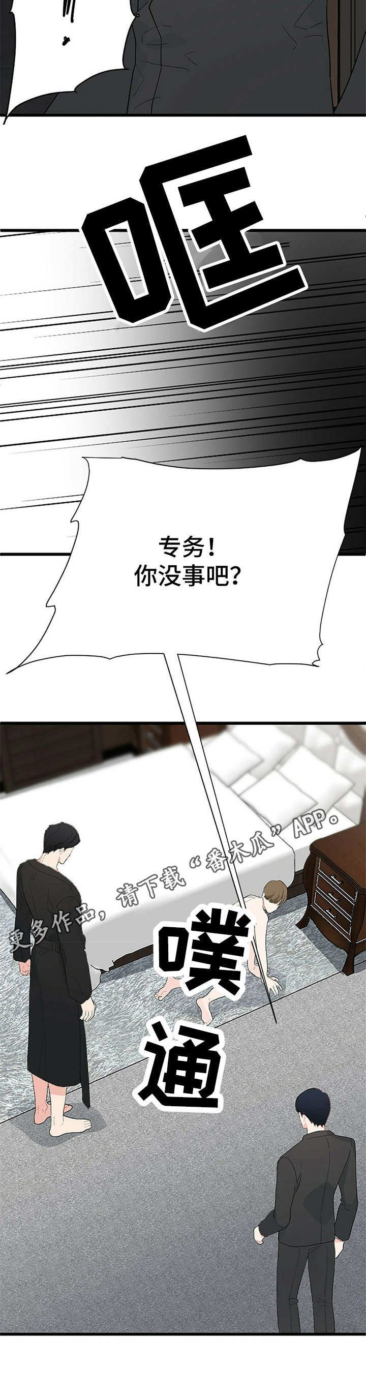 第5章：保镖