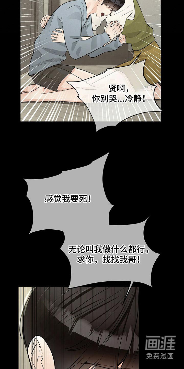 第79章：假的