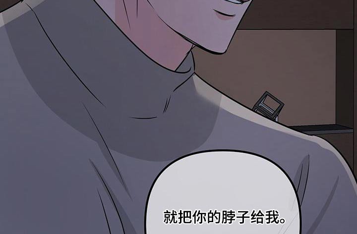 第95章：特别篇