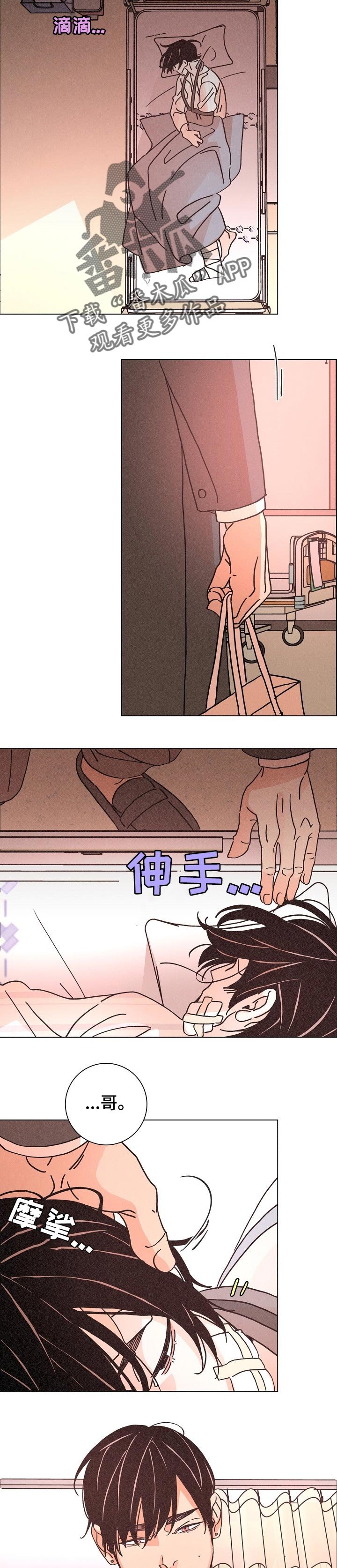 第120章：爱的誓言