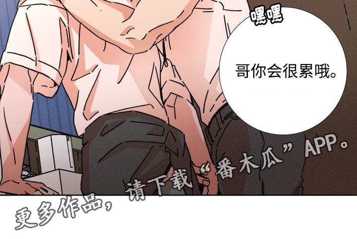 第15章：只喜欢别人