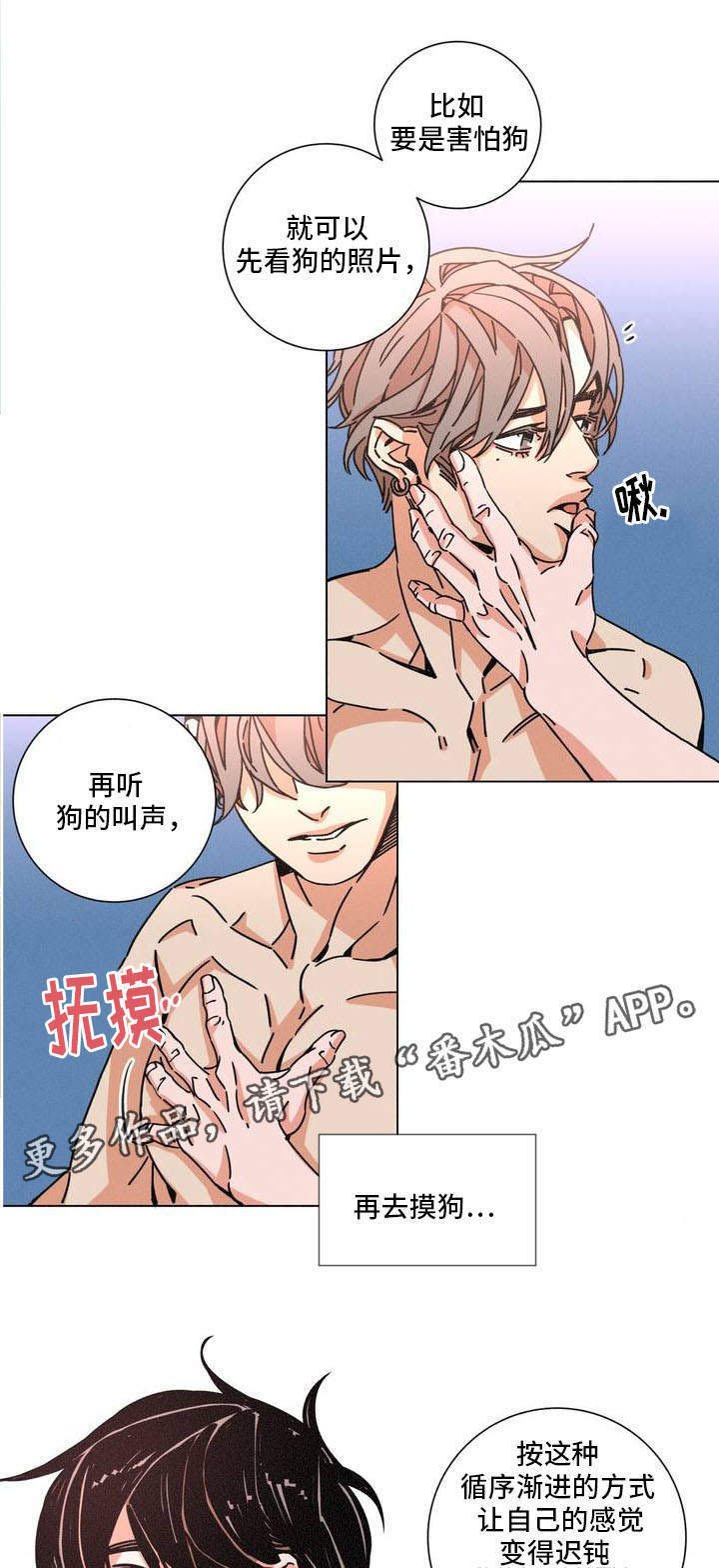 第25章：目的