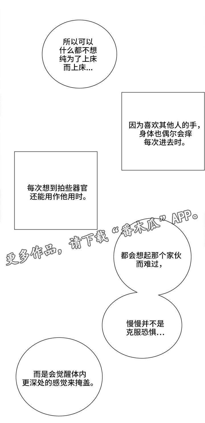 第26章：掩盖