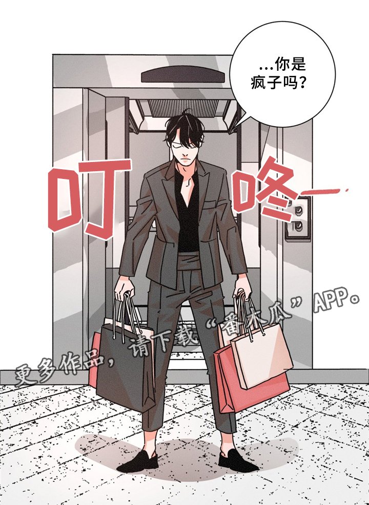 第37章：特别礼物