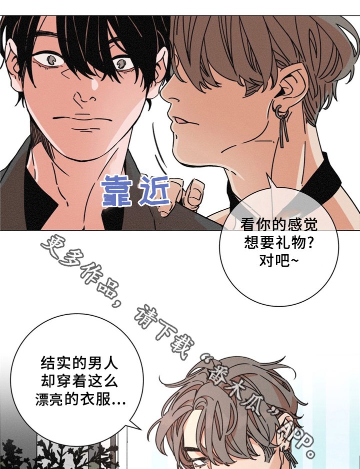 第37章：特别礼物