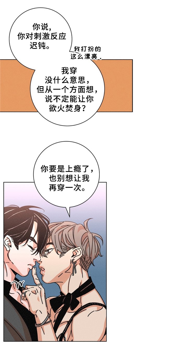 第37章：特别礼物