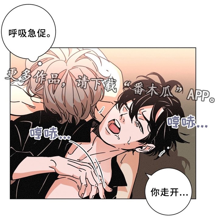 第38章：是我做错了