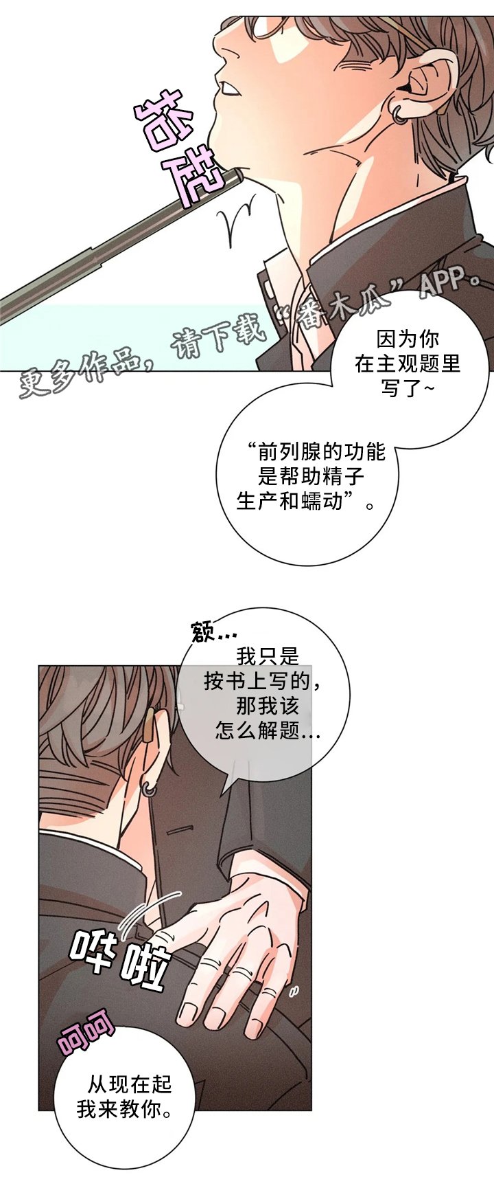 第48章：周六培训