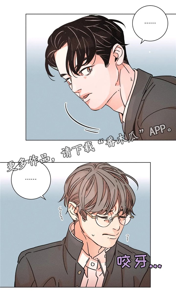 第48章：周六培训