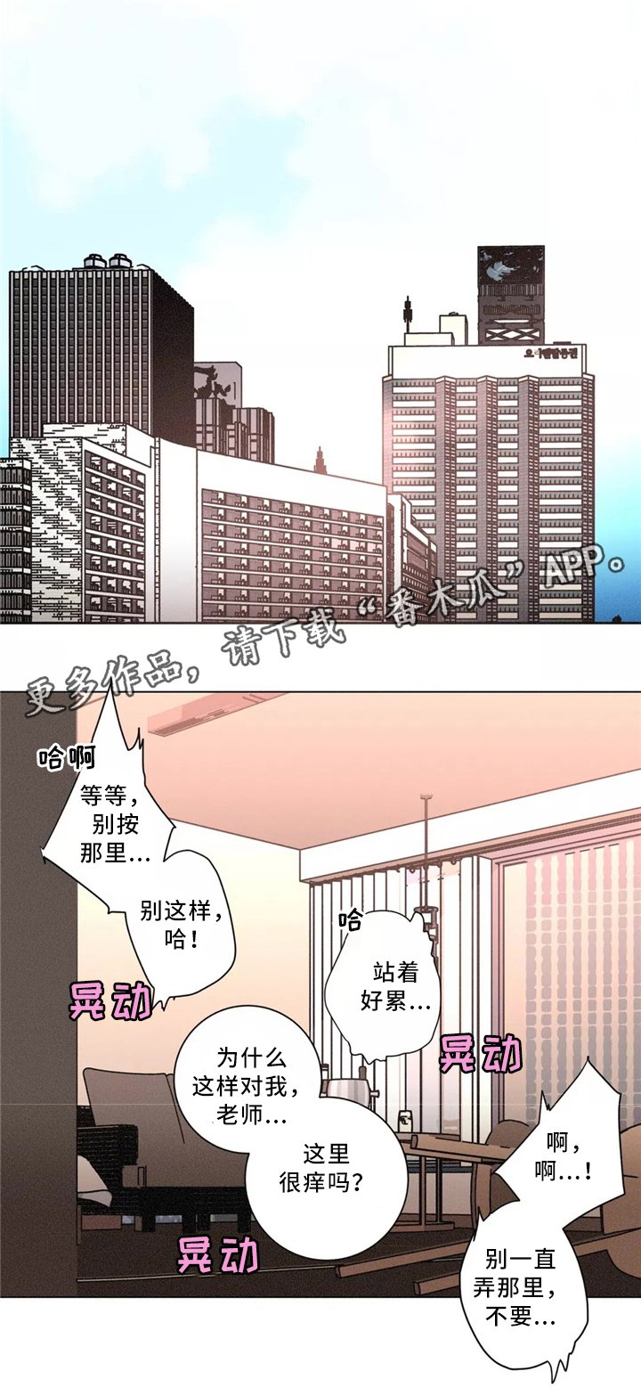 第49章：新的测试