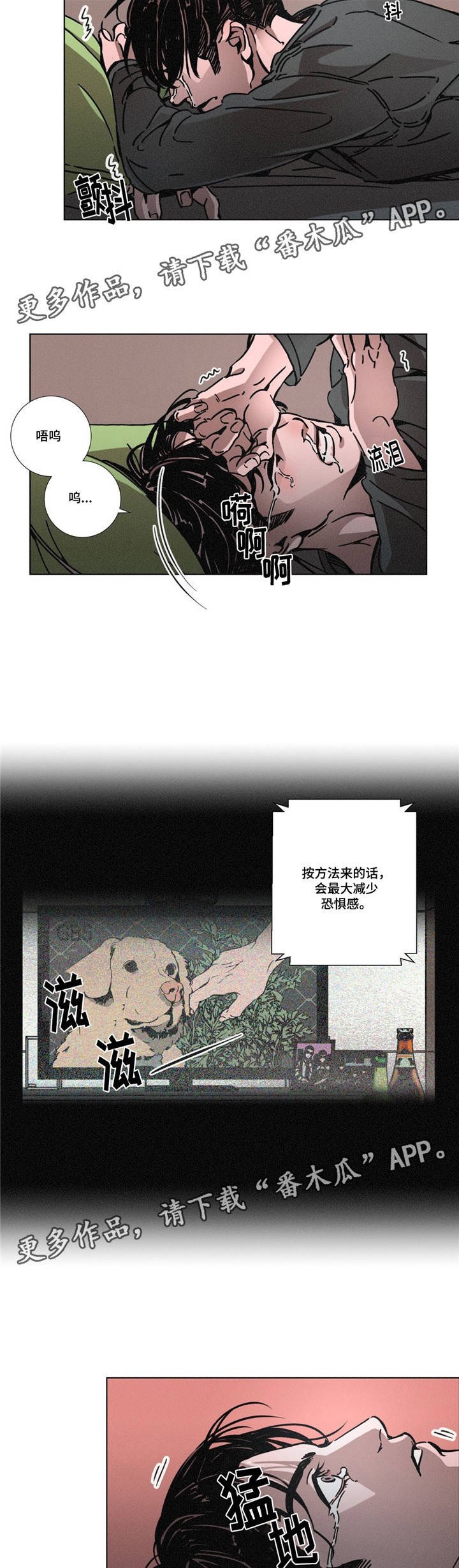 第9章：恐惧感