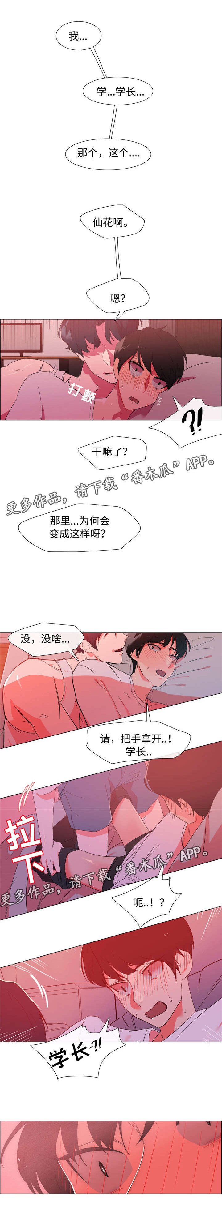 第19章：他的婚礼
