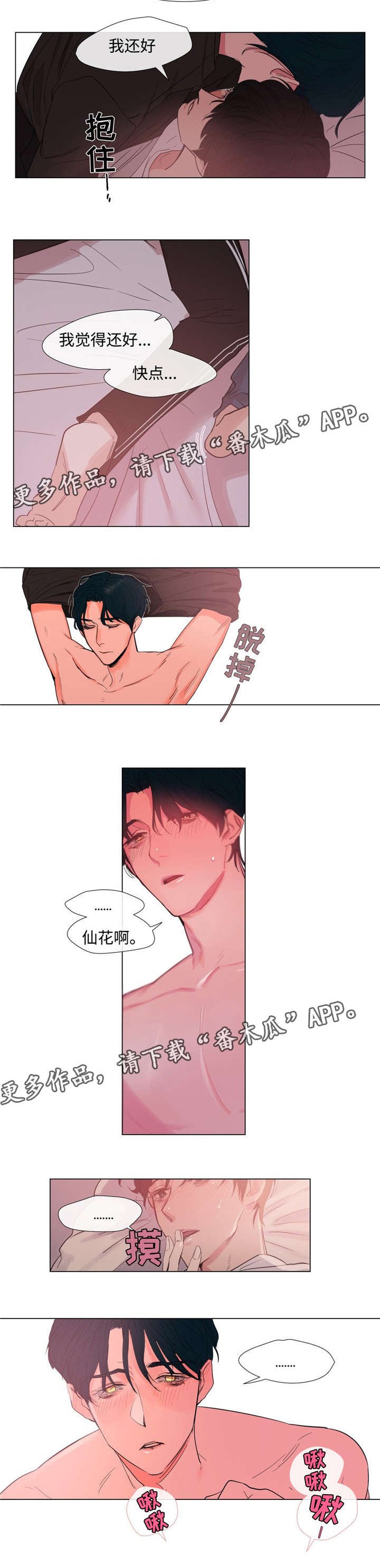 第56章：我爱你