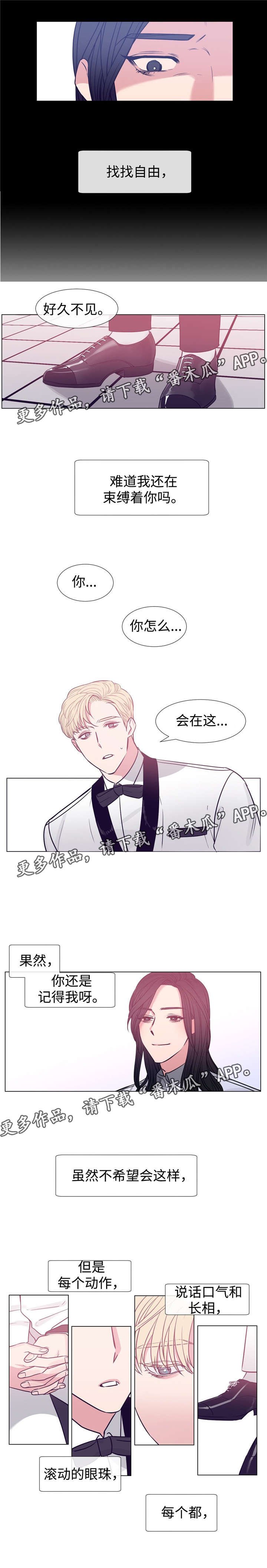 第78章：是你