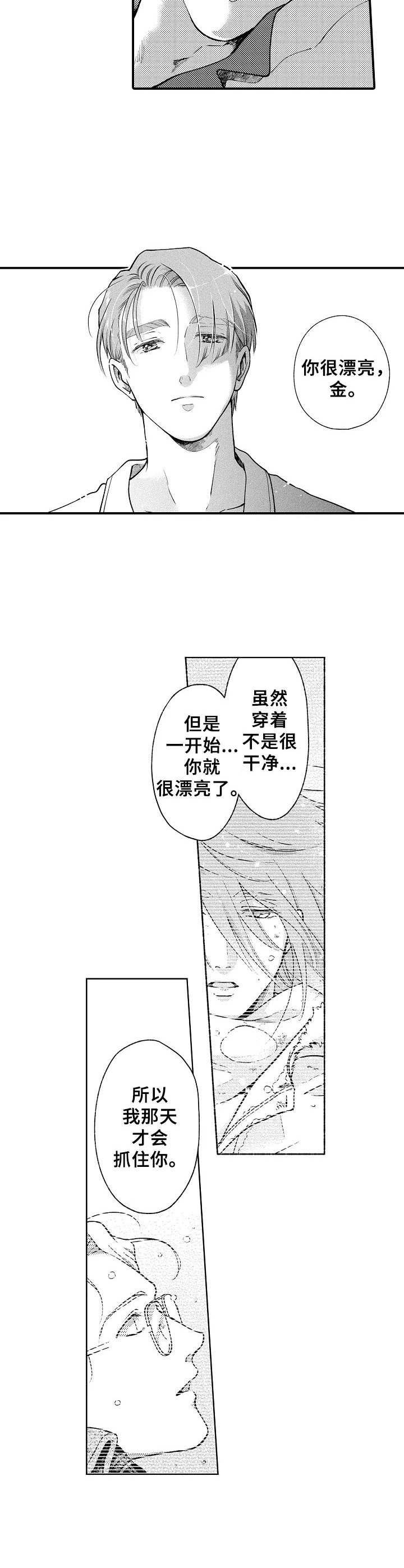 第26章：心意