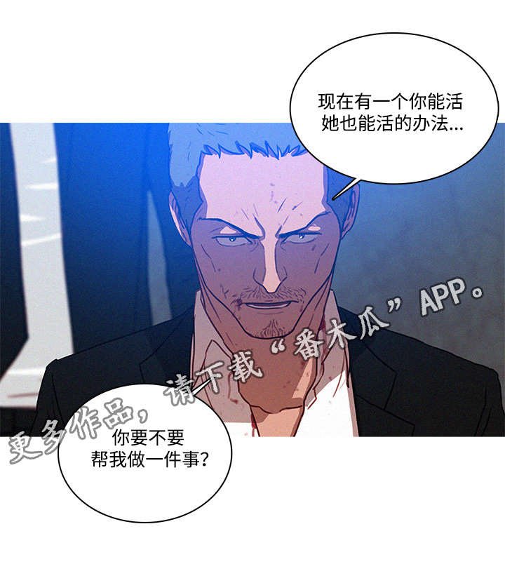 第12章：办法