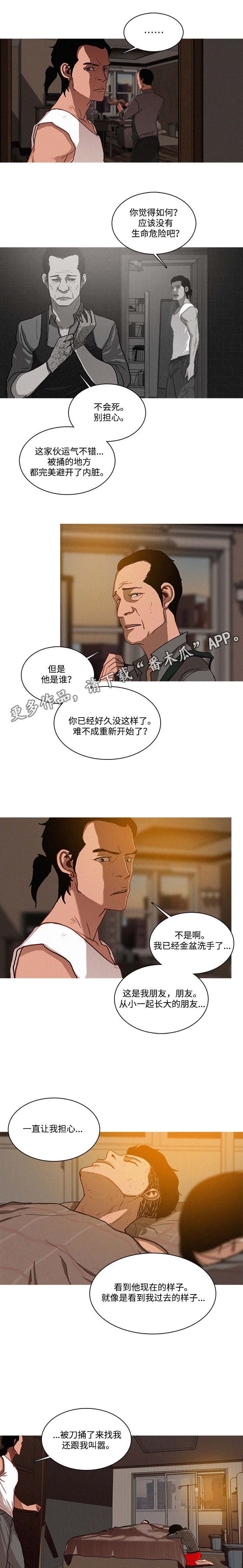 第19章：调查