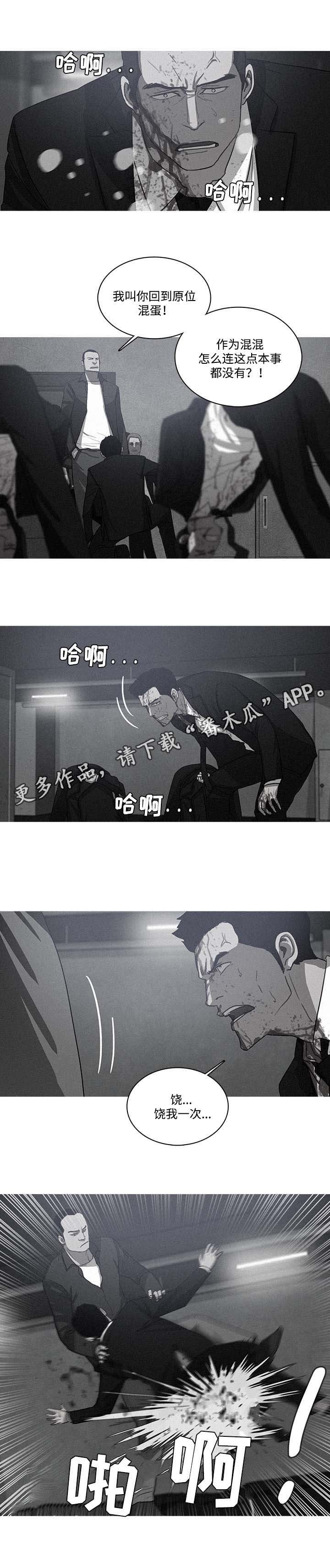 第19章：调查