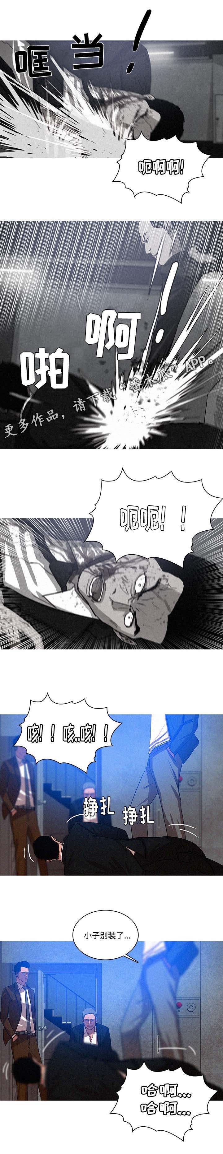 第19章：调查