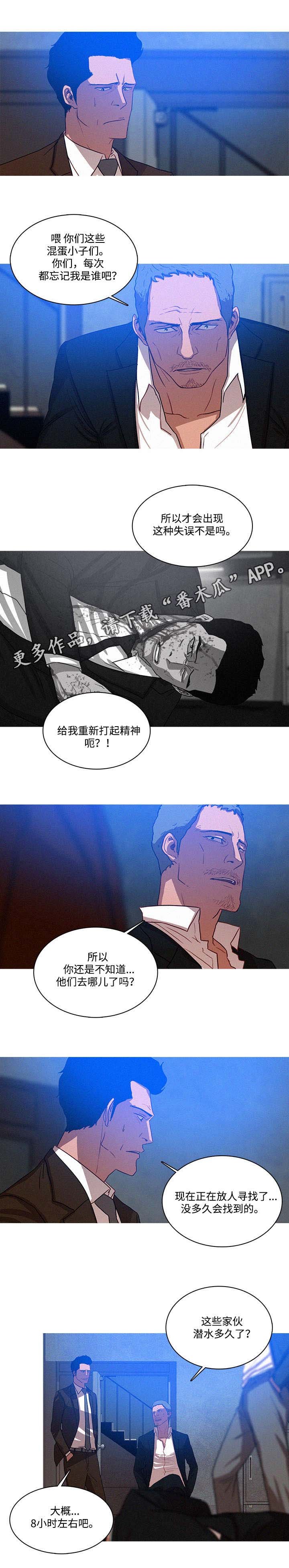 第19章：调查