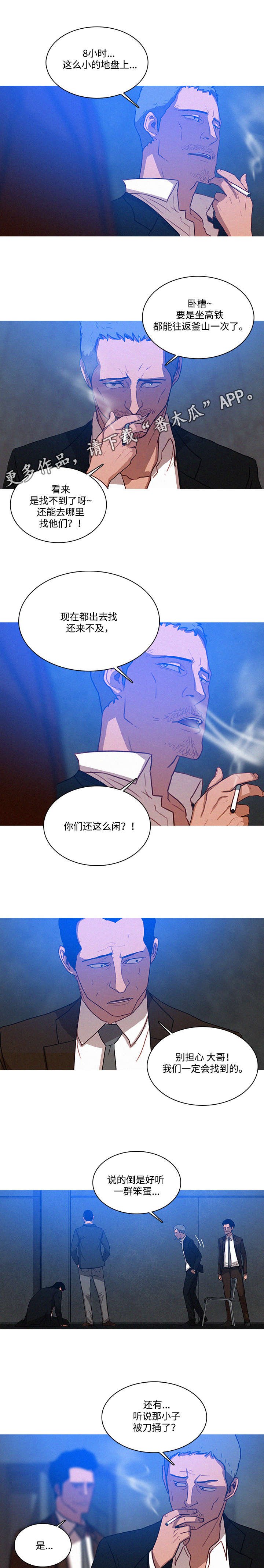 第19章：调查