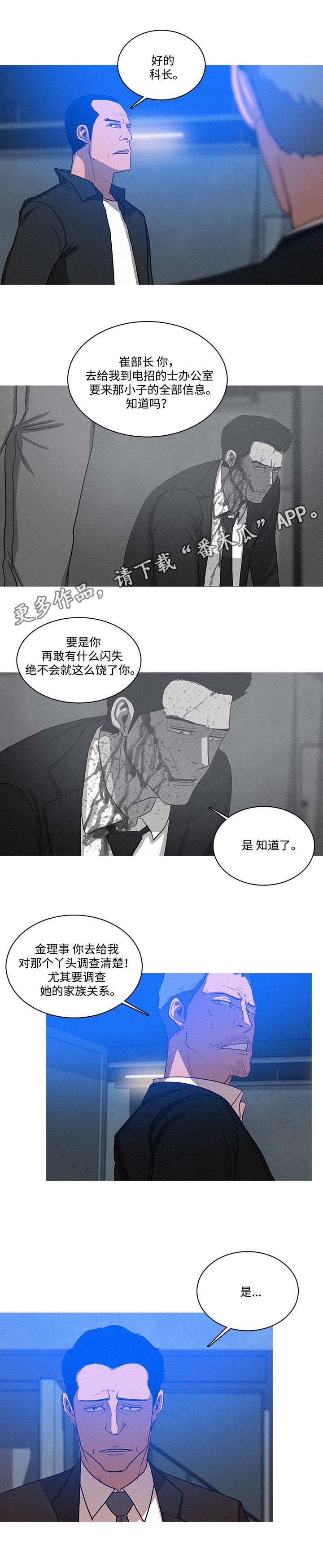 第19章：调查