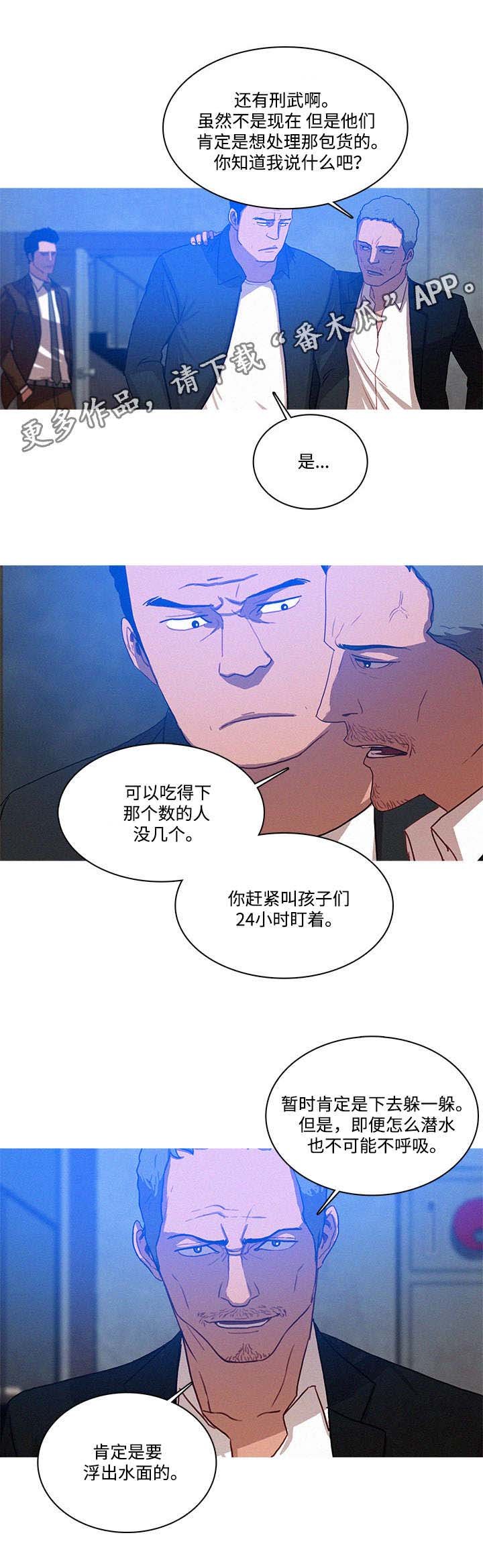 第19章：调查