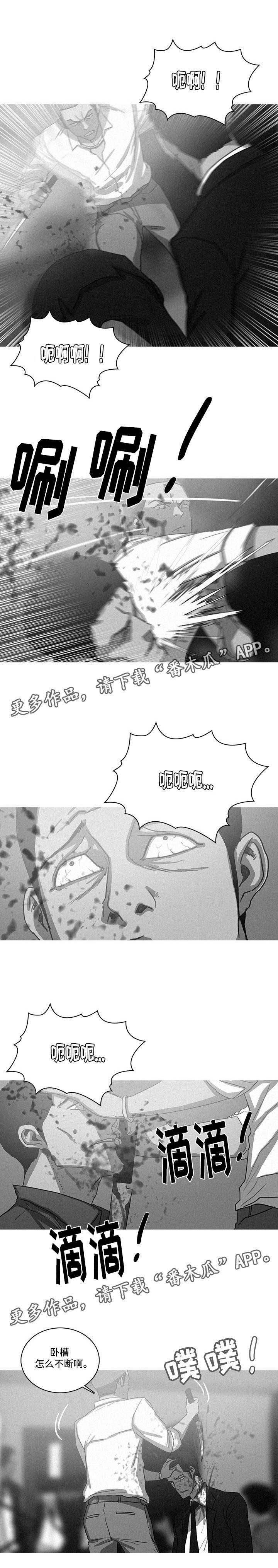 第68章：一片打斗