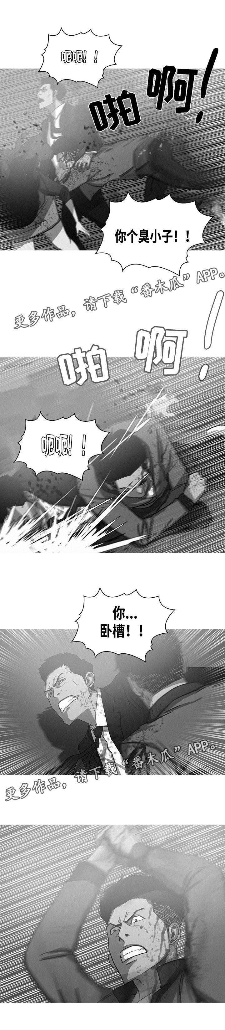 第68章：一片打斗