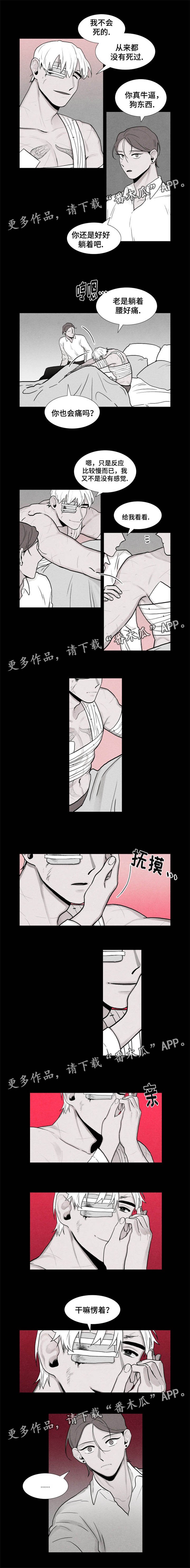 第11章：受伤