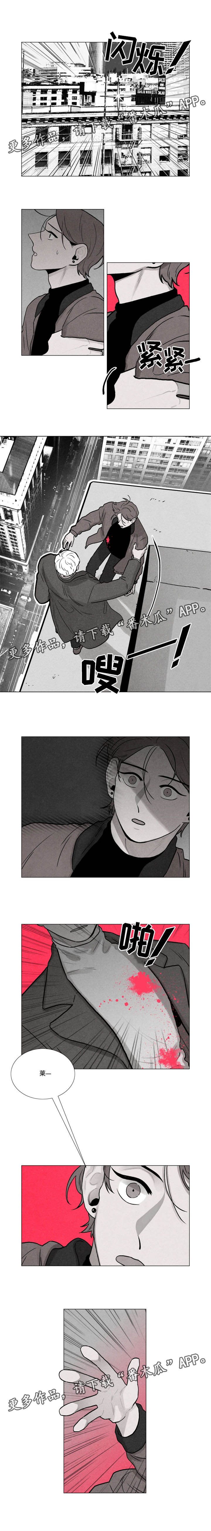 第29章：暗杀