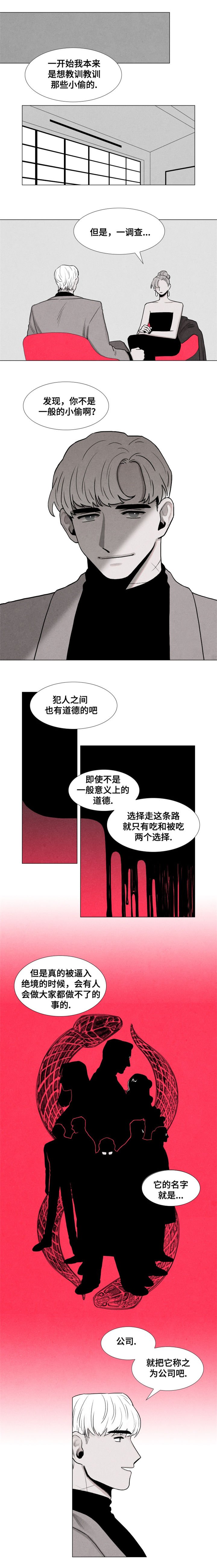 第4章：公司