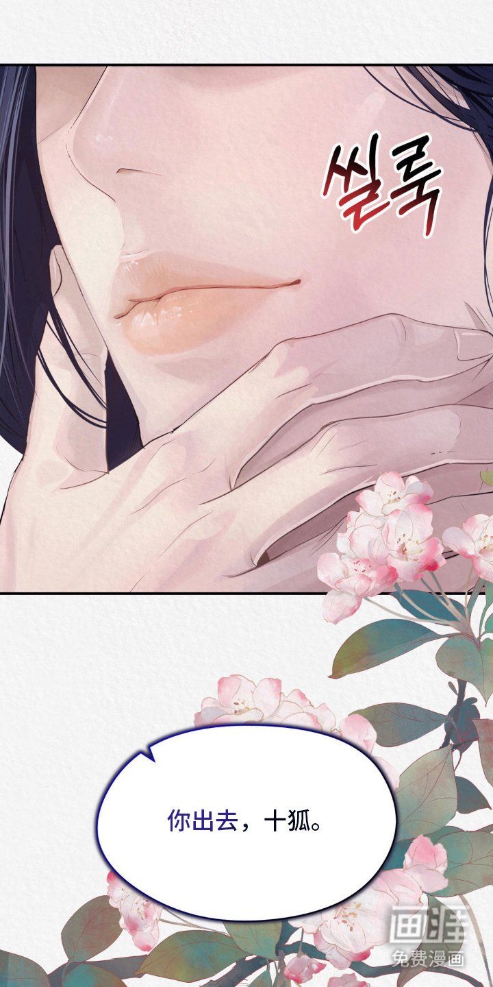 第14章：看头
