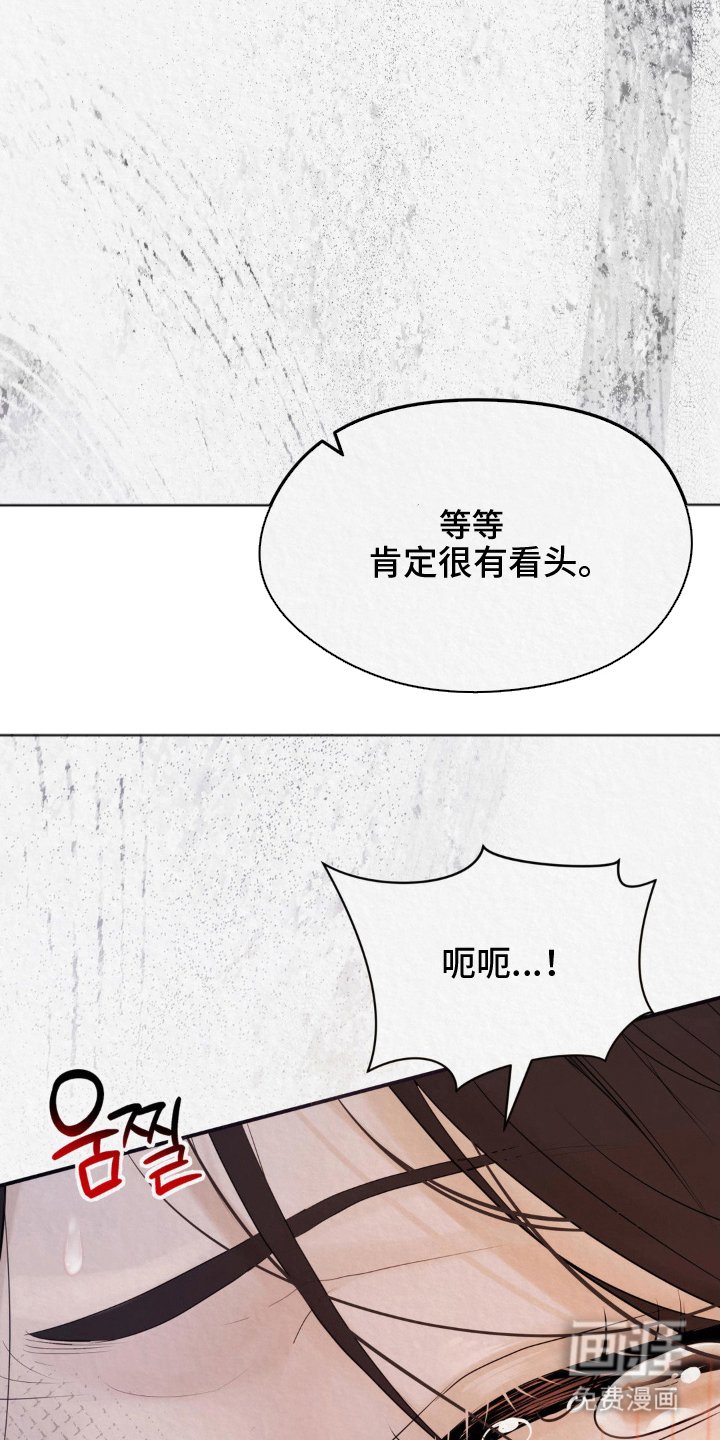 第14章：看头