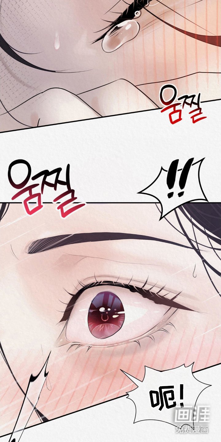 第14章：看头