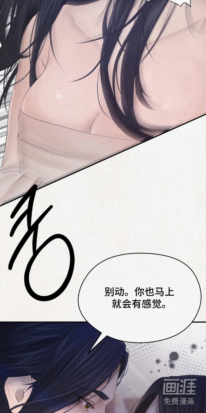 第14章：看头