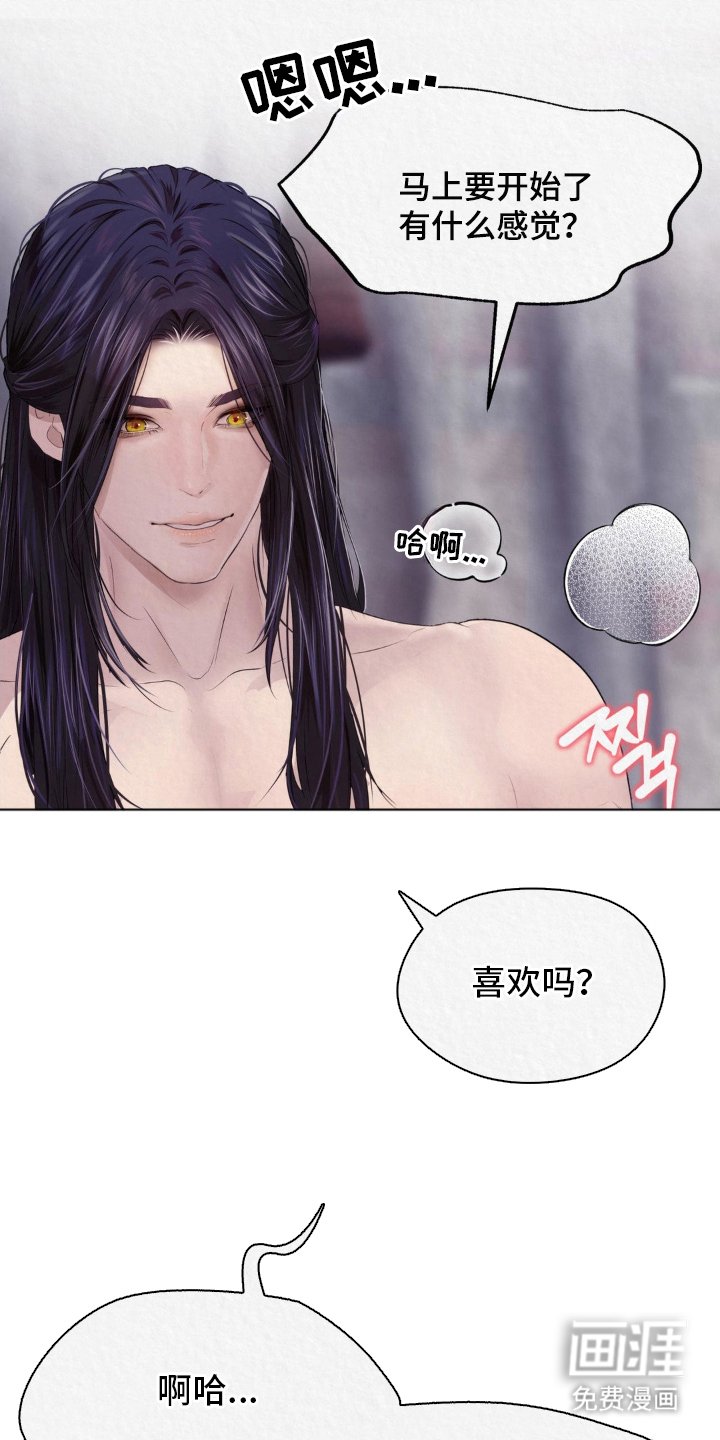 第14章：看头