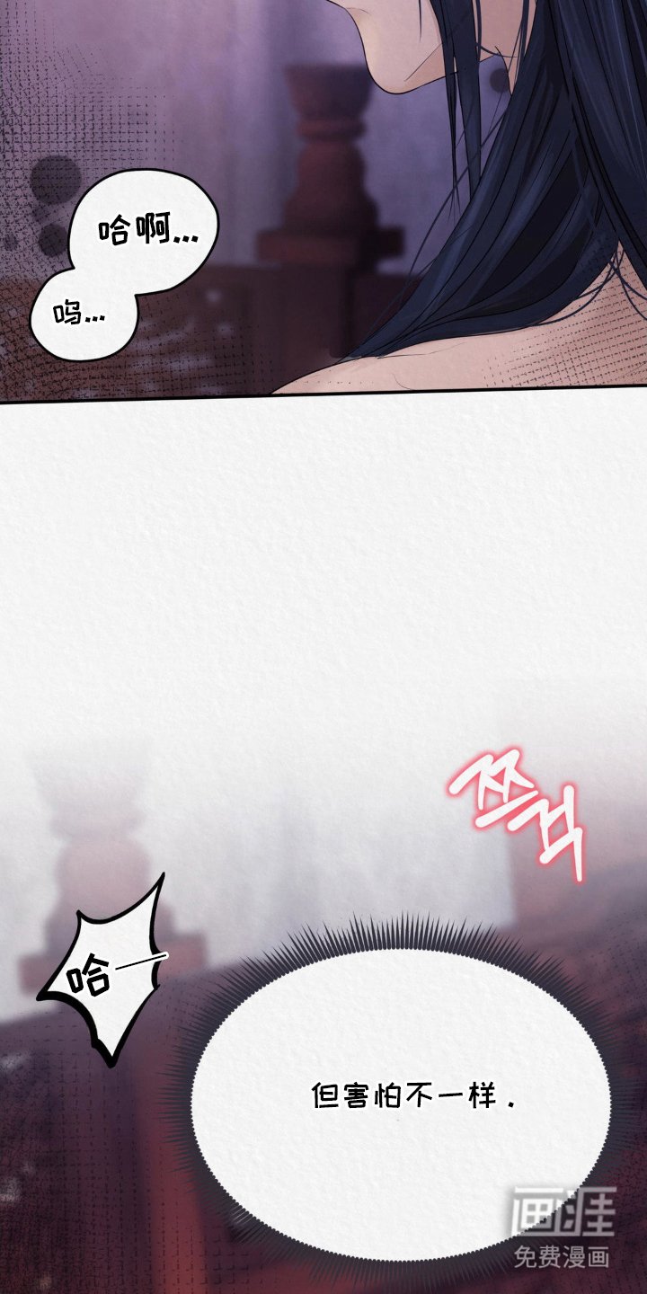 第14章：看头