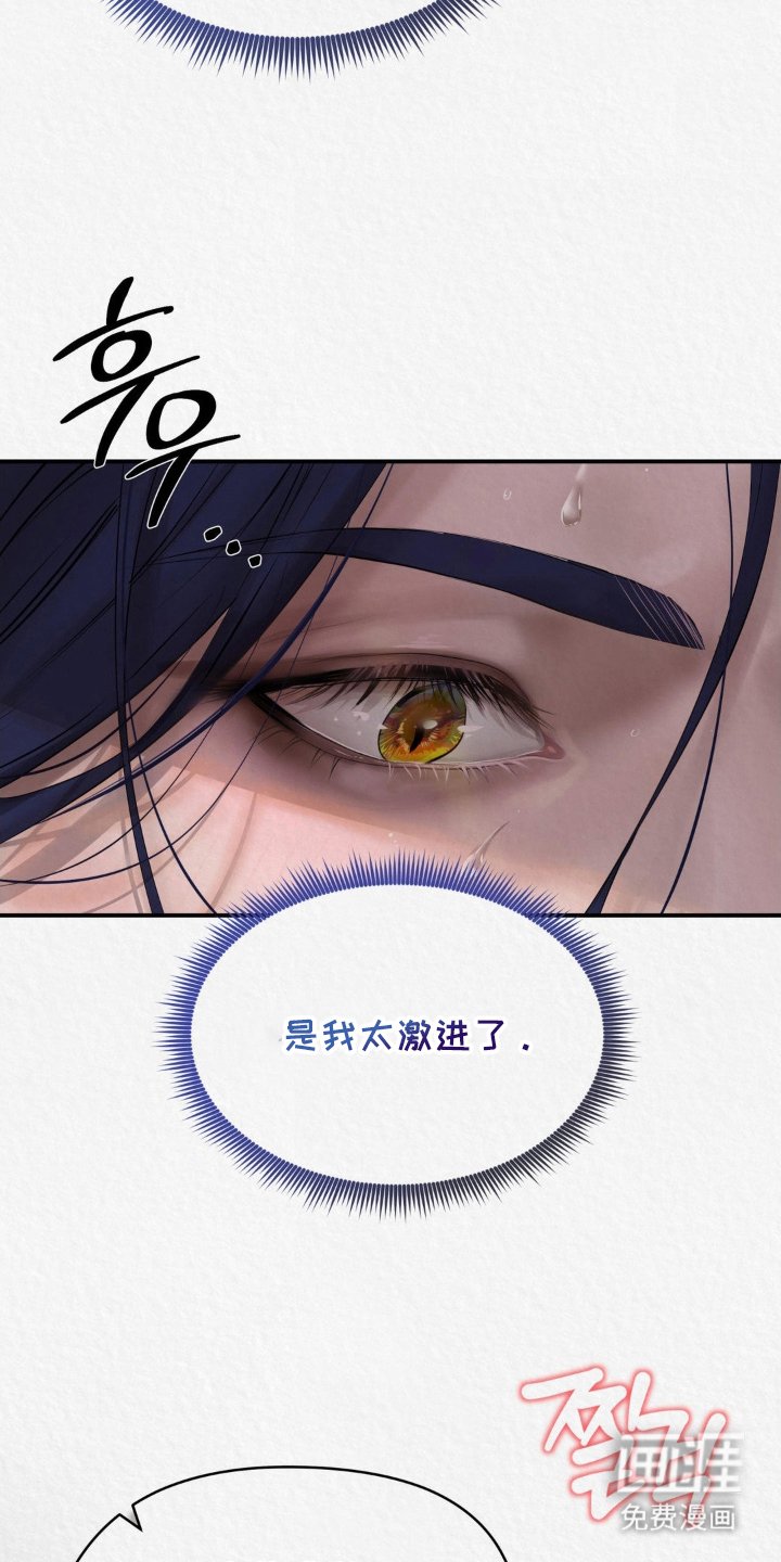 第14章：看头