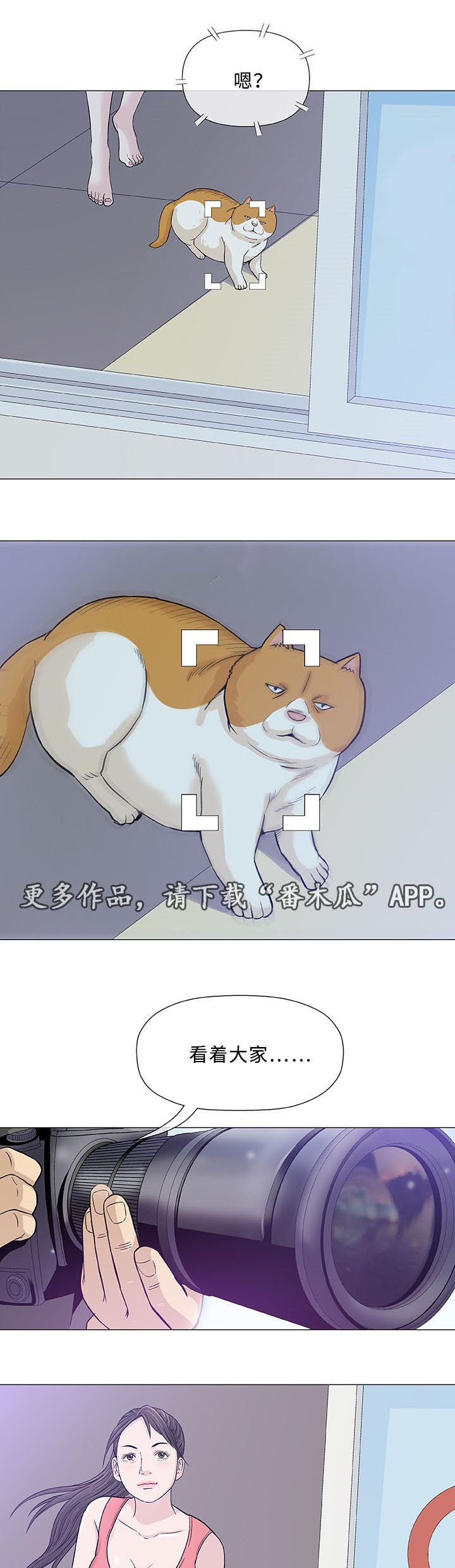 第11章：求婚