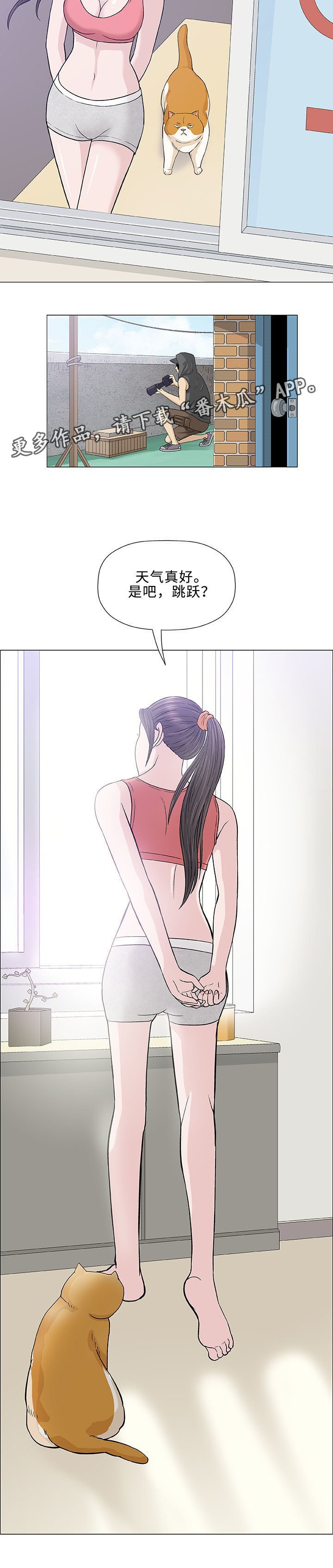 第11章：求婚