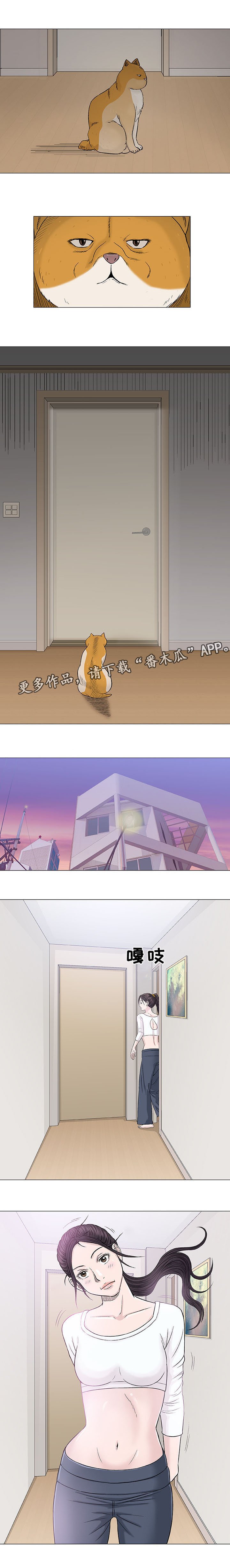 第18章：海滩