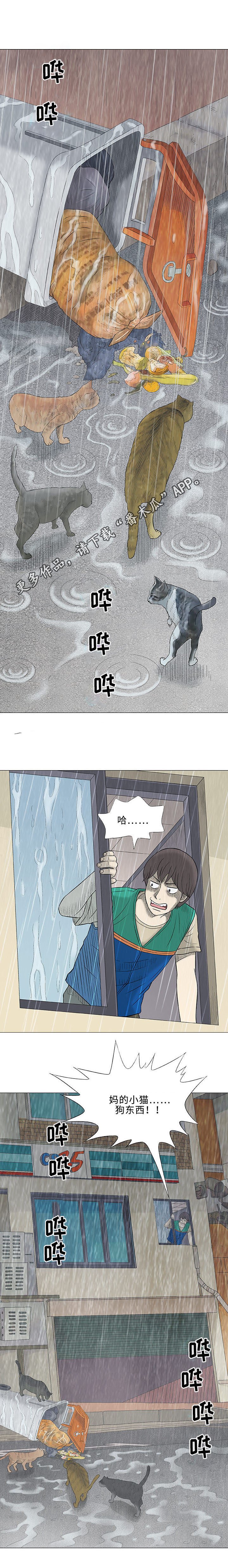 第23章：咖啡