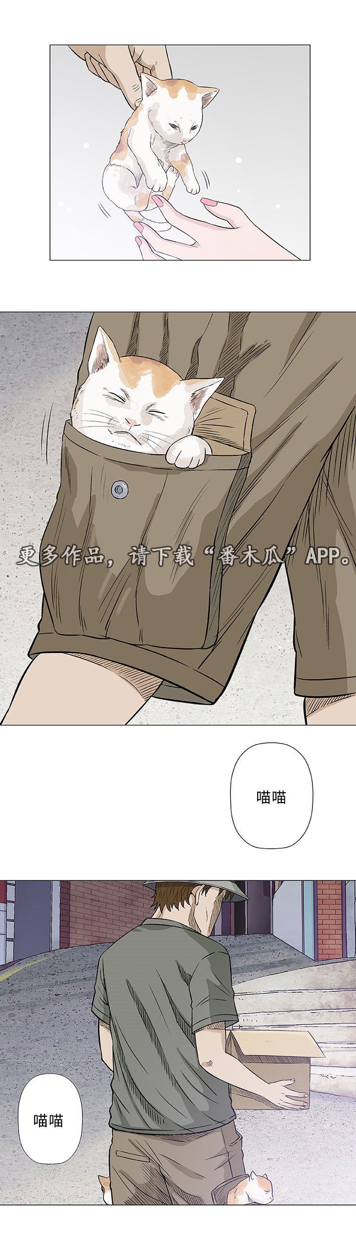 第27章：寻找