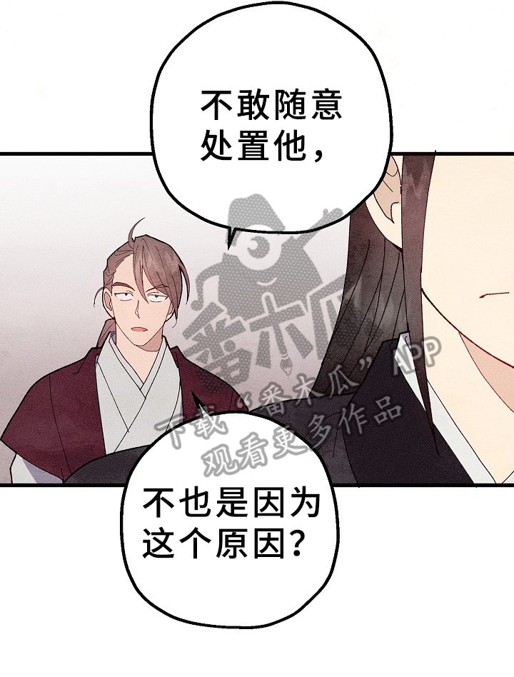 第19章：想法