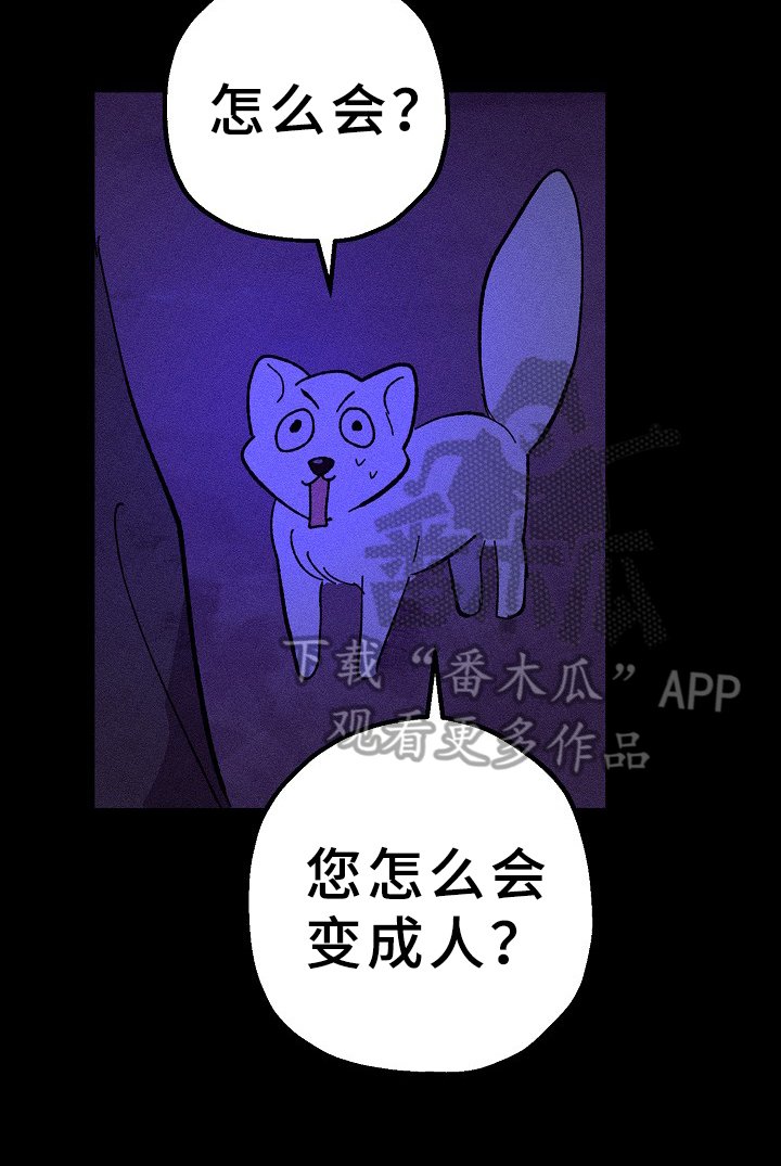 第21章：愿望
