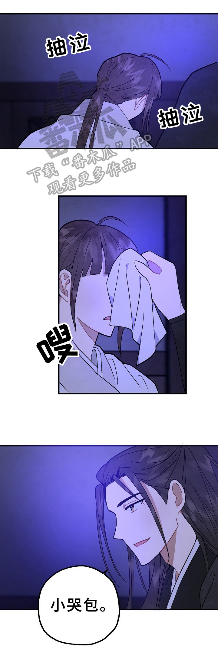 第25章：暗中的行动